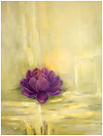 Purple Lotus
